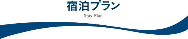 付き プラン チケット ディズニー